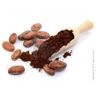 Какао-порошок Natra Cacao алкализированный темно-красный  Cordoba 20-22% фото цена